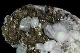 Pyrite On Calcite - El Hammam Mine, Morocco #80367-2